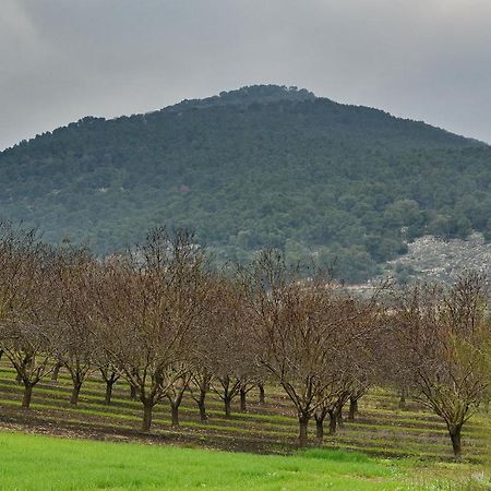 Pearl Of The Valley Hotel Kfar Tavor Εξωτερικό φωτογραφία