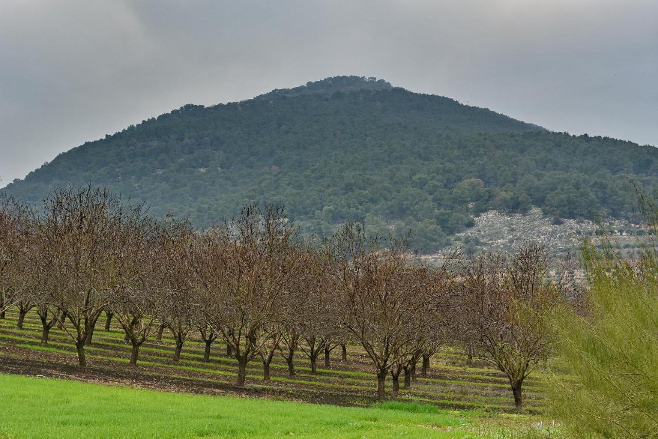 Pearl Of The Valley Hotel Kfar Tavor Εξωτερικό φωτογραφία
