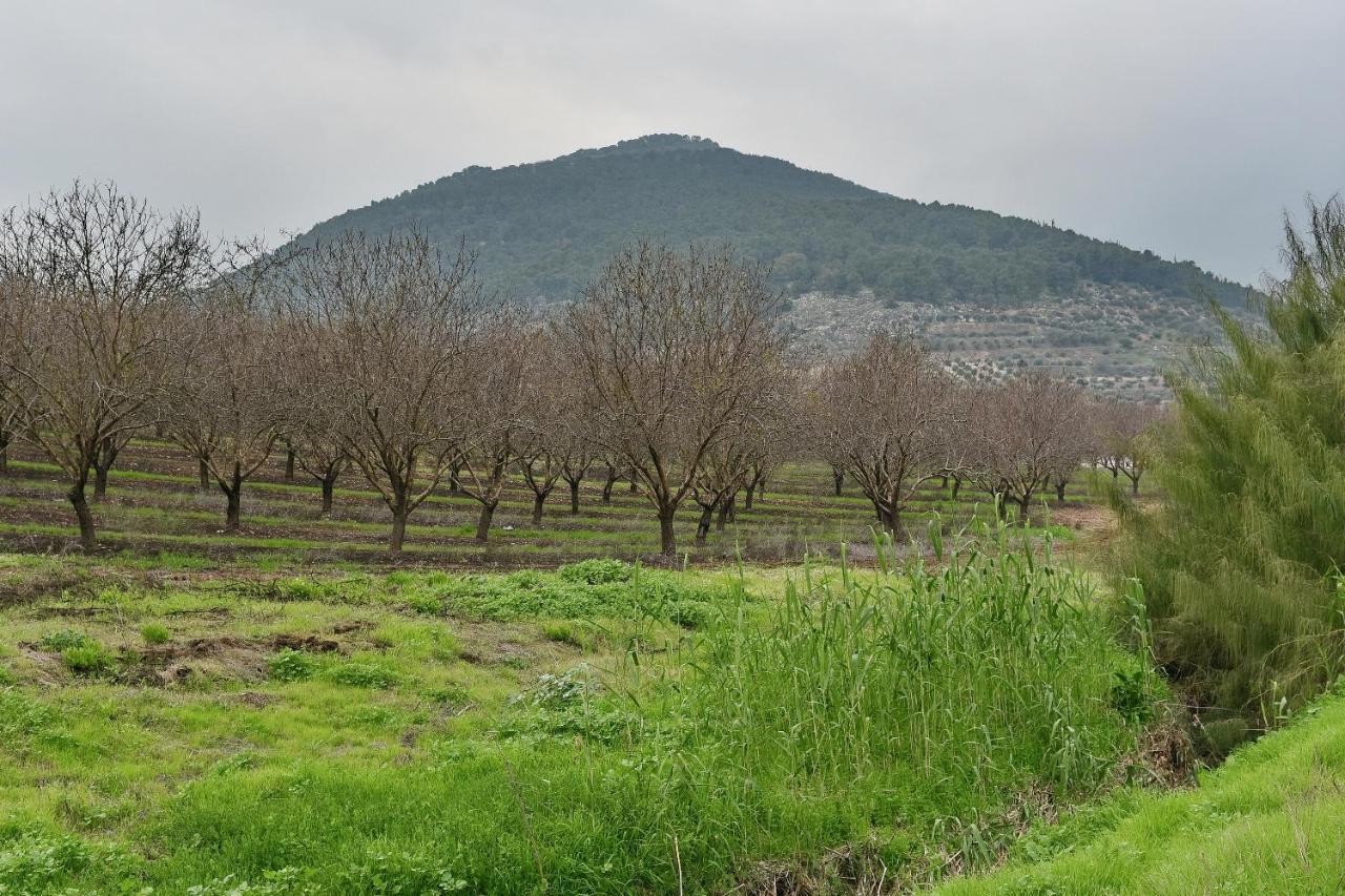 Pearl Of The Valley Hotel Kfar Tavor Εξωτερικό φωτογραφία